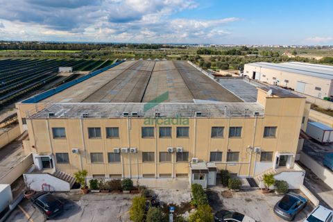 Erhvervsejendom i Capurso, Bari, Capurso - € 2.000.000 | Ref: 12017/2026 - foto 10