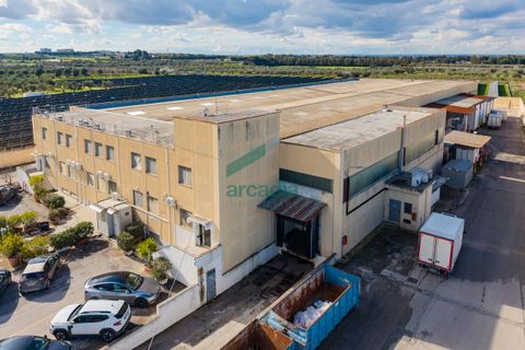 Erhvervsejendom i Capurso, Bari, Capurso - € 2.000.000 | Ref: 12017/2026 - foto 11