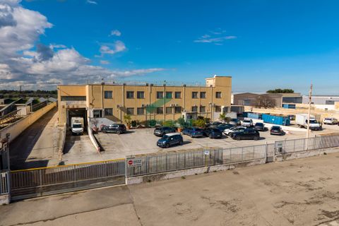 Erhvervsejendom i Capurso, Bari, Capurso - € 2.000.000 | Ref: 12017/2026 - foto 17
