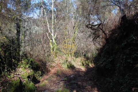 Helårsgrund i Vila Verde, Braga, Vila Verde - € 40.000 | Ref: ONE141494-68 - foto 20