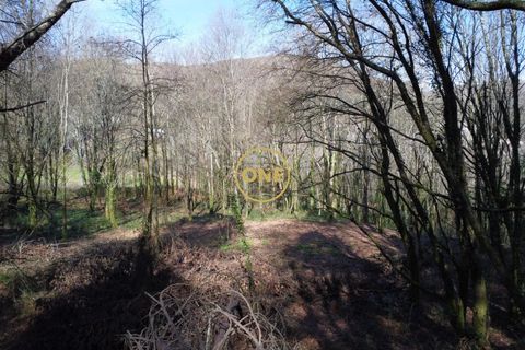 Helårsgrund i Vila Verde, Braga, Vila Verde - € 40.000 | Ref: ONE141494-68 - foto 22