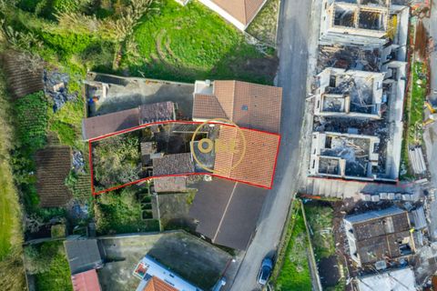 Byhus i Nordeste, Sao Miguel, Nordeste - € 215.000 | Ref: ONE401855-23 - foto 23