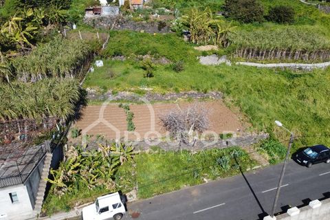 Helårsgrund i Ribeira Brava, Madeira, Ribeira Brava - € 120.000 | Ref: DR539 - foto 3