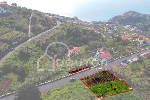 Helårsgrund i Ribeira Brava, Madeira, Ribeira Brava - € 120.000 | Ref: DR539 - foto 5