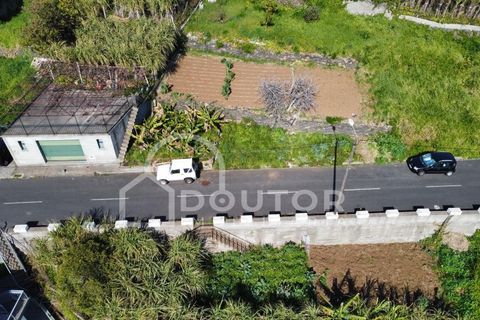 Helårsgrund i Ribeira Brava, Madeira, Ribeira Brava - € 120.000 | Ref: DR539 - foto 6