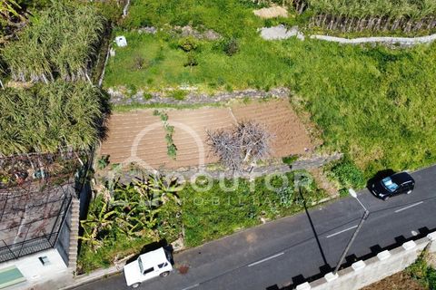 Helårsgrund i Ribeira Brava, Madeira, Ribeira Brava - € 120.000 | Ref: DR539 - foto 7