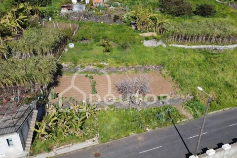 Helårsgrund i Ribeira Brava, Madeira, Ribeira Brava - € 120.000 | Ref: DR539 - foto 8