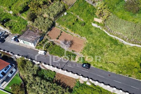 Helårsgrund i Ribeira Brava, Madeira, Ribeira Brava - € 120.000 | Ref: DR539 - foto 9