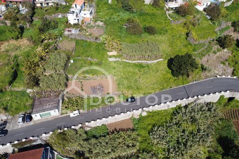 Helårsgrund i Ribeira Brava, Madeira, Ribeira Brava - € 120.000 | Ref: DR539 - foto 10