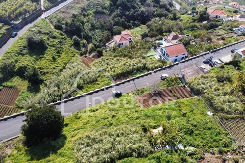Helårsgrund i Ribeira Brava, Madeira, Ribeira Brava - € 120.000 | Ref: DR539 - foto 11