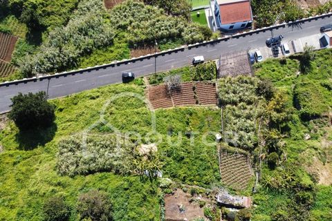 Helårsgrund i Ribeira Brava, Madeira, Ribeira Brava - € 120.000 | Ref: DR539 - foto 12