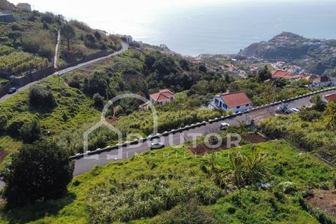 Helårsgrund i Ribeira Brava, Madeira, Ribeira Brava - € 120.000 | Ref: DR539 - foto 15