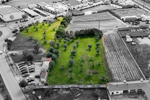 Helårsgrund i Golega, Santarem, Golega - € 250.000 | Ref: C0452-00572 - foto 2