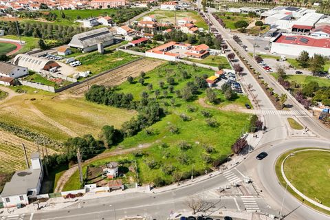 Helårsgrund i Golega, Santarem, Golega - € 250.000 | Ref: C0452-00572 - foto 4