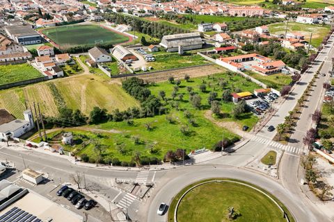 Helårsgrund i Golega, Santarem, Golega - € 250.000 | Ref: C0452-00572 - foto 5