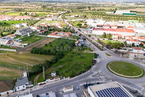 Helårsgrund i Golega, Santarem, Golega - € 250.000 | Ref: C0452-00572 - foto 6