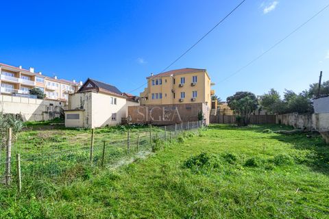 Villa i Cortegaca, Aveiro, Cortegaca - € 1.350.000 | Ref: 051/26 - foto 5