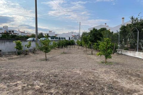 Helårsgrund i Santa Eulalia, Portalegre, Santa Eulalia - € 98.000 | Ref: C0440-00901 - foto 2