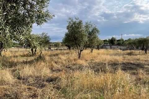 Helårsgrund i Santa Eulalia, Portalegre, Santa Eulalia - € 98.000 | Ref: C0440-00901 - foto 8