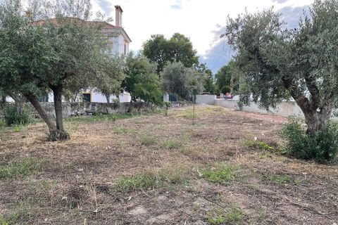Helårsgrund i Santa Eulalia, Portalegre, Santa Eulalia - € 98.000 | Ref: C0440-00901 - foto 10