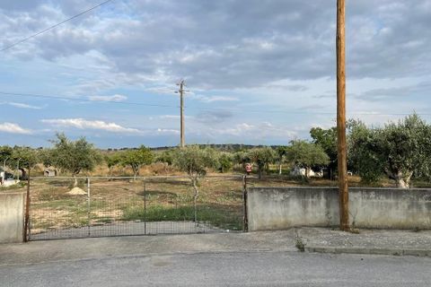 Helårsgrund i Santa Eulalia, Portalegre, Santa Eulalia - € 98.000 | Ref: C0440-00901 - foto 11