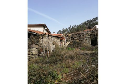 Villa a Talhadas, Aveiro, Talhadas - € 160.000 | Ref: 6790 - foto 10