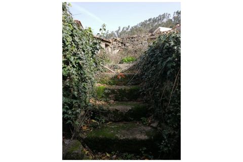 Villa a Talhadas, Aveiro, Talhadas - € 160.000 | Ref: 6790 - foto 11