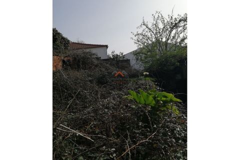 Villa a Talhadas, Aveiro, Talhadas - € 160.000 | Ref: 6790 - foto 12