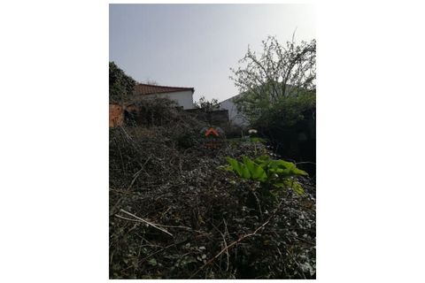 Villa a Talhadas, Aveiro, Talhadas - € 160.000 | Ref: 6790 - foto 13