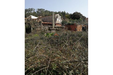 Villa a Talhadas, Aveiro, Talhadas - € 160.000 | Ref: 6790 - foto 14