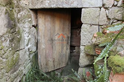 Landejendom i Talhadas, Aveiro, Talhadas - € 12.500 | Ref: 6801 - foto 2
