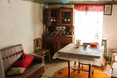 Landejendom i Talhadas, Aveiro, Talhadas - € 12.500 | Ref: 6801 - foto 6