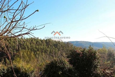 Landejendom i Talhadas, Aveiro, Talhadas - € 12.500 | Ref: 6801 - foto 8