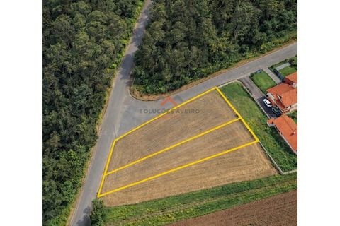 Terra a Barro, Aveiro, Barro - € 60.000 | Ref: 6786 - foto 2