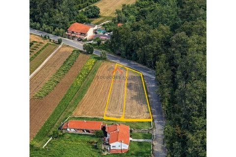 Terra a Barro, Aveiro, Barro - € 60.000 | Ref: 6786 - foto 3