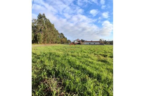 Terra a Barro, Aveiro, Barro - € 60.000 | Ref: 6786 - foto 4