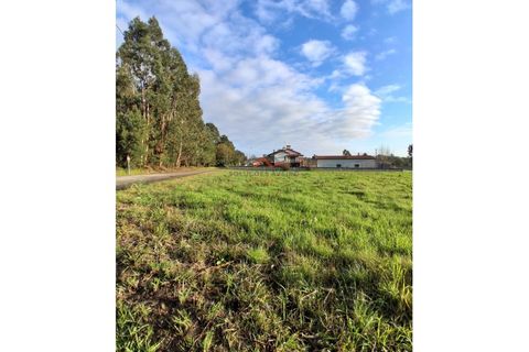Terra a Barro, Aveiro, Barro - € 60.000 | Ref: 6786 - foto 5