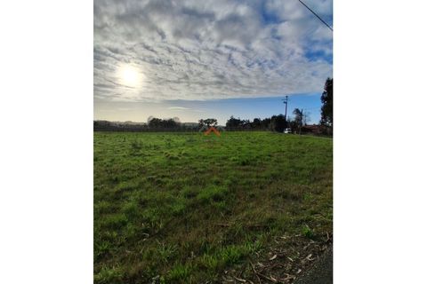 Terra a Barro, Aveiro, Barro - € 60.000 | Ref: 6786 - foto 6