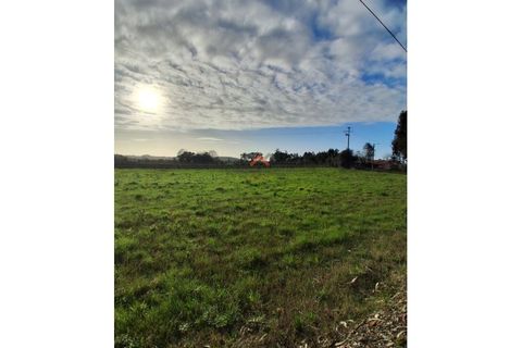 Terra a Barro, Aveiro, Barro - € 60.000 | Ref: 6786 - foto 7