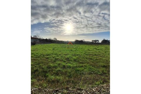 Terra a Barro, Aveiro, Barro - € 60.000 | Ref: 6786 - foto 8