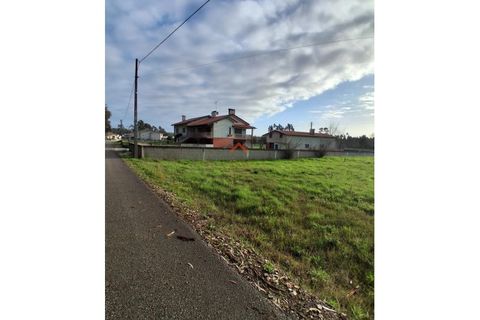 Terra a Barro, Aveiro, Barro - € 60.000 | Ref: 6786 - foto 9