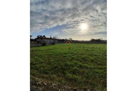 Terra a Barro, Aveiro, Barro - € 60.000 | Ref: 6786 - foto 10