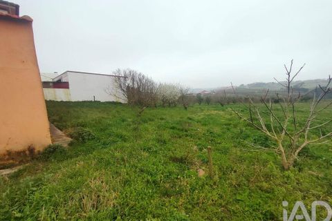 Byhus i Cadaval, Lisbon, Cadaval - € 319.000 | Ref: 837734 - foto 39