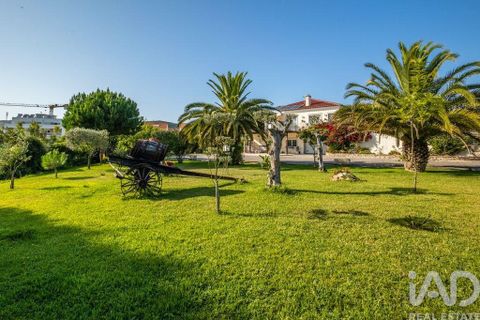Byhus i Alcobaca, Leiria, Alcobaca - € 748.000 | Ref: 831085 - foto 3