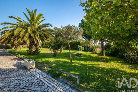 Byhus i Alcobaca, Leiria, Alcobaca - € 748.000 | Ref: 831085 - foto 23