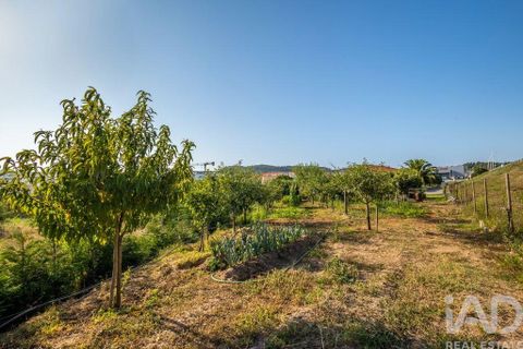 Byhus i Alcobaca, Leiria, Alcobaca - € 748.000 | Ref: 831085 - foto 24
