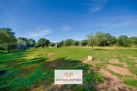 Herregård i Llucmajor, Mallorca, Llucmajor - € 699 000 | Ref: 26-016 - foto 40