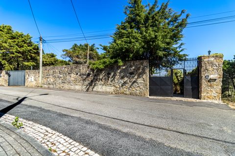 Herregård i Sintra, Lisbon, Sintra - € 1 799 000 | Ref: W-02WOZX - foto 47