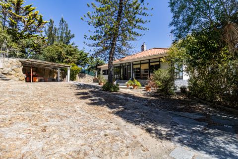 Herregård i Sintra, Lisbon, Sintra - € 1 799 000 | Ref: W-02WOZX - foto 30
