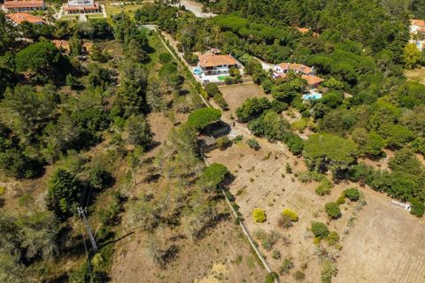 Herregård i Sintra, Lisbon, Sintra - € 1 799 000 | Ref: W-02WOZX - foto 41